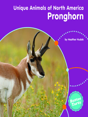 cover image of Pronghorn
